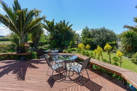 Photo of property in 31 Rogers Road, Bay View, Napier, 4104