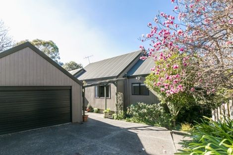 Photo of property in 21a Toop Street, Havelock North, 4130