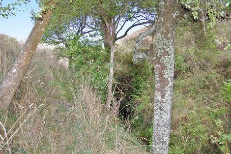 Photo of property in 24b Waterview Crescent, Kaiwaka, 0573