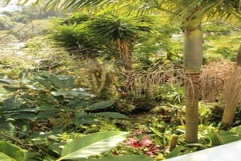 Photo of property in 33 Aitken Terrace, Kingsland, Auckland, 1021