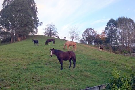 Photo of property in 269 Waikoha Road, Karamu, Hamilton, 3285