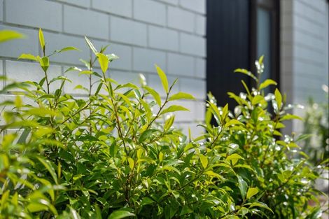 Photo of property in 35 Matavai Street, Mount Maunganui, 3116