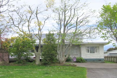 Photo of property in 17 Wrigley Street, Waihi, 3610