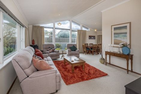 Photo of property in 17 Burn Street, Levin, 5510