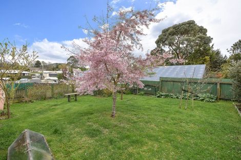 Photo of property in 116 Beach Street, Waikouaiti, 9510