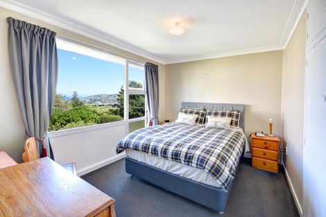 Photo of property in 92e Eglinton Road, Mornington, Dunedin, 9011