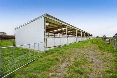 Photo of property in 124 Kahouri Road, Midhirst, Stratford, 4394