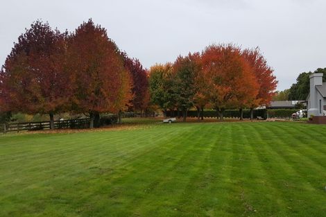 Photo of property in 628 Maungatautari Road, Maungatautari, Cambridge, 3494