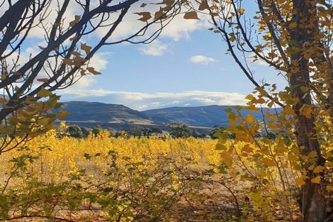 Photo of property in 129 Bannockburn Road, Cromwell, 9384