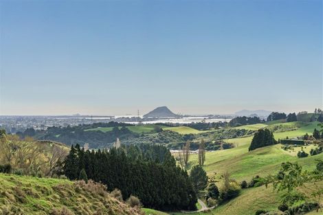 Photo of property in 457 Upper Ohauiti Road, Ohauiti, Tauranga, 3173