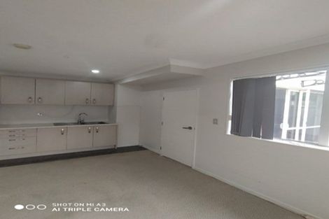 Photo of property in 48 Helianthus Avenue, Flat Bush, Auckland, 2019