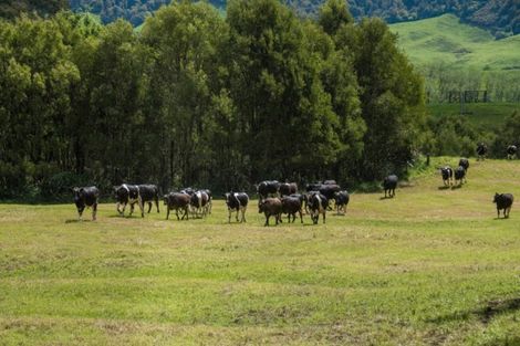 Photo of property in 794 Paradise Valley Road, Ngongotaha Valley, Rotorua, 3072