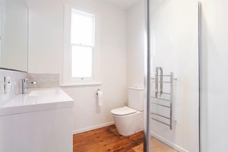Photo of property in 12 Albany Road, Ponsonby, Auckland, 1011