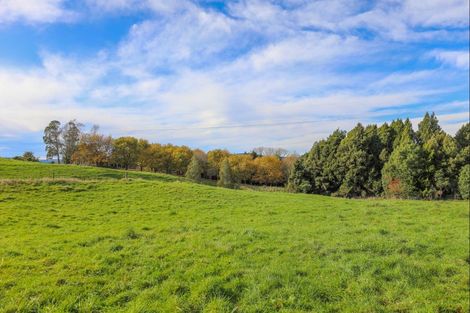 Photo of property in 39 Otapouri Road, Owhango, 3989