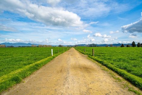 Photo of property in 99 Livingstone Road, Ngahinapouri, Hamilton, 3290