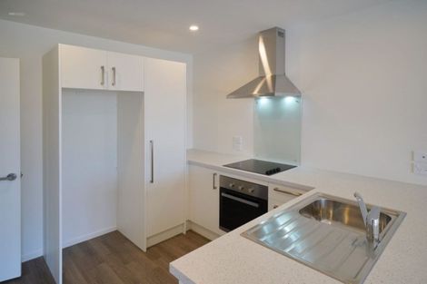 Photo of property in 41 Pegasus Boulevard, Pegasus, 7612