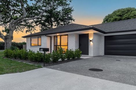 Photo of property in 1 Catherine Lane, Levin, 5510