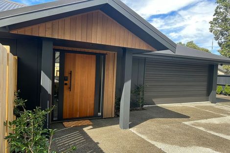 Photo of property in 95a Linton Street, West End, Palmerston North, 4410