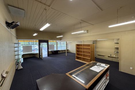 Photo of property in 117 Victoria Avenue, Hokowhitu, Palmerston North, 4410
