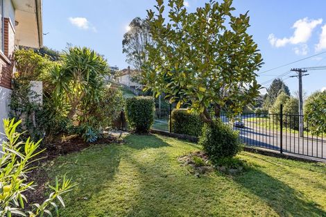 Photo of property in 150 Sidey Street, Calton Hill, Dunedin, 9012