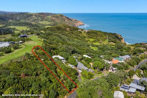 Photo of property in 119 Waitea Road, Muriwai, 0881