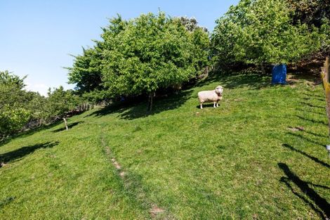 Photo of property in 19 Castleton Way, Flagstaff, Hamilton, 3210