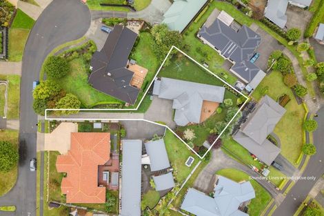 Photo of property in 12 Maple Place, Morrinsville, 3300