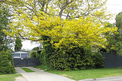 Photo of property in 21 Leitrim Street, Redwoodtown, Blenheim, 7201