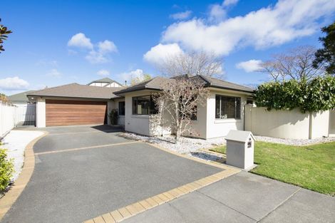 Photo of property in 1a Mission Road, Greenmeadows, Napier, 4112