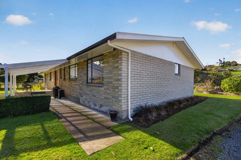 Photo of property in 6803 State Highway 4, Taumarunui, 3996