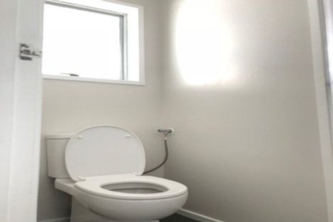 Photo of property in 17 Preston Avenue, Henderson, Auckland, 0610