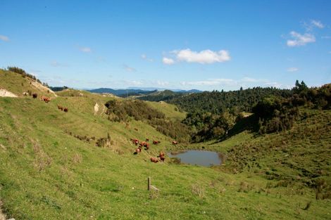 Photo of property in 409 Hokoroa Road, Tauwhareparae, Tolaga Bay, 4077