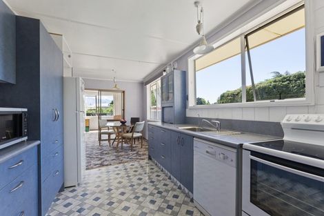 Photo of property in 12 Wicklow Street, Cromwell, 9310