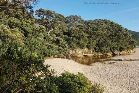 Photo of property in 212 Russell Bruce Place, Onemana, Whangamata, 3691