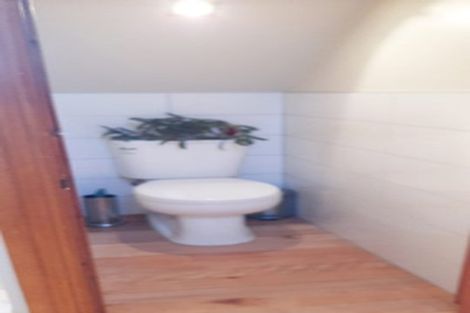 Photo of property in 3 Bishops Road, Dunedin Central, Dunedin, 9016