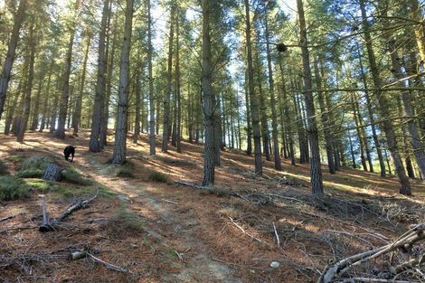 Photo of property in 65 Hillview Road, Birdlings Flat, Little River, 7591