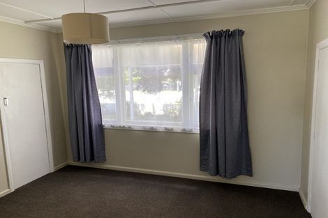 Photo of property in 411 Hastings Street South, Akina, Hastings, 4122