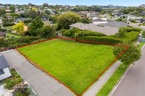 Photo of property in 113 Castlewold Drive, Bethlehem, Tauranga, 3110