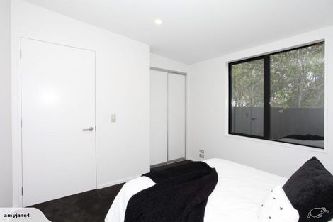 Photo of property in 50 Canon Street, St Albans, Christchurch, 8014