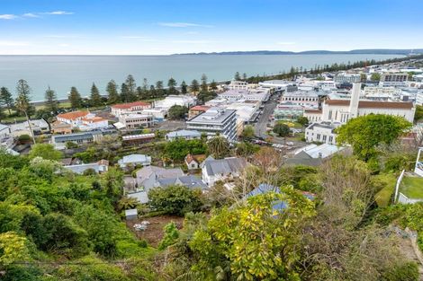 Photo of property in 12 Brewster Street, Bluff Hill, Napier, 4110