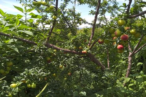 Photo of property in 42 Westview Place, Tauriko, Tauranga, 3110