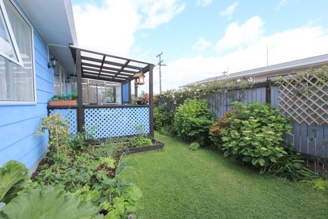 Photo of property in 60c Mclauchlan Street, Springlands, Blenheim, 7201