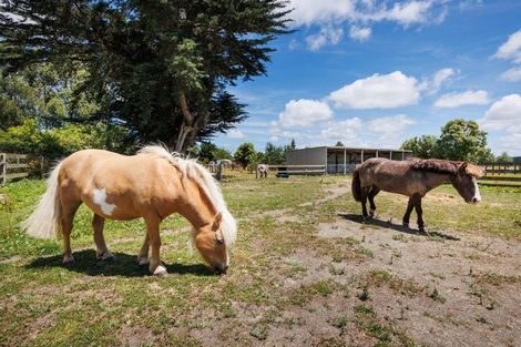 Photo of property in 119c Dixons Line, Bunnythorpe, Palmerston North, 4481