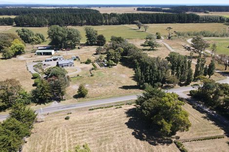 Photo of property in 785 Brandon Hall Road, Santoft, Bulls, 4894