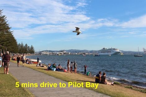 Photo of property in 36a Crane Street, Mount Maunganui, 3116