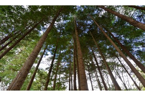 Photo of property in 247 Mangapai Road, Mangapai, Whangarei, 0178