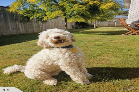 Photo of property in 5 Sun Valley Way, Wainuiomata, Lower Hutt, 5014