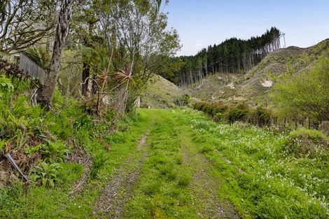 Photo of property in 568 Morea Road, Ararata, Hawera, 4674