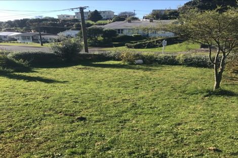 Photo of property in 105 Cook Street, Marfell, New Plymouth, 4310