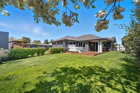 Photo of property in 36 Weka Street, Oxford, 7430